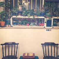 Maryam  Moghice的照片