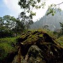 CS HIKING TRIP (Parque Natural Los Tunos) 🤠☀️⛰️🌳's picture