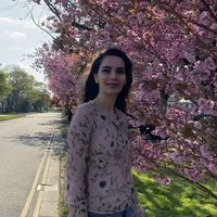 Mina Khodavrdi的照片