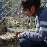 Teodora Valkanova的照片