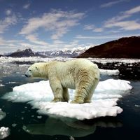 Gregory Simonet's Photo