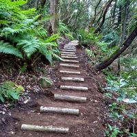 Cristian Lopez的照片