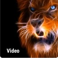 jone smith smith luca's Photo