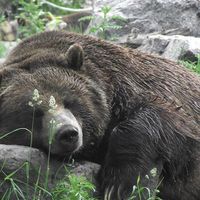 Cédric Garzotto的照片