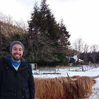 André Silva的照片