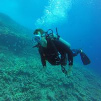 Nicholas Hellmann's Photo