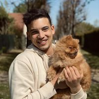 Marwan Trad的照片