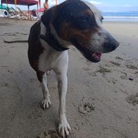 Photos de Jelte Van Der Wal