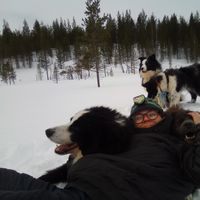 Jolan Bertrand的照片