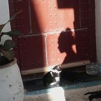 Fotos de clémentine c