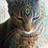 Fotos von Dani Gatodeliko