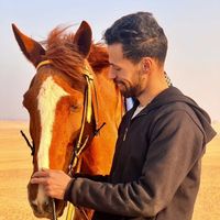 Ahmed Safwat's Photo