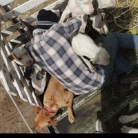 Braulio Aleman's Photo