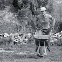 Louis Pommier的照片