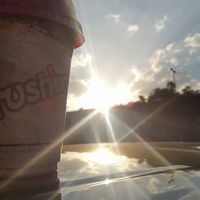 Hilton Neale的照片