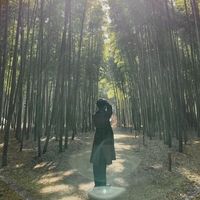 Yusuke Ishii's Photo