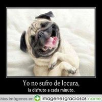 Francisco Torroja's Photo