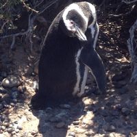 Zdjęcia użytkownika Loïc Gabus