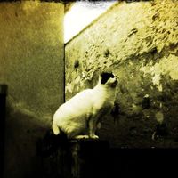 François Chatal's Photo