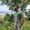 Muhamad Azis Fikri's Photo