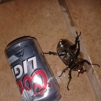 Steve Frazer's Photo