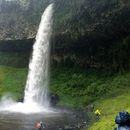 Mt Kenya Castle Forest Hike's picture