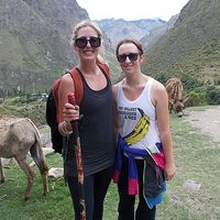 Olivia Wilson的照片