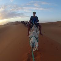 Jonas Seifert的照片