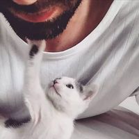 Photos de ReDouane Souaihium