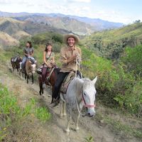 Gabriel Ottaviani的照片