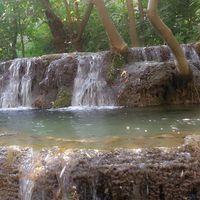 Hoz Madrigal的照片