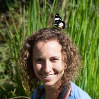 Le foto di Sanne Govaert