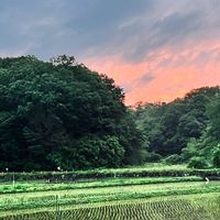 Rishi Singh的照片