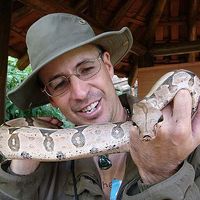 David Harper's Photo