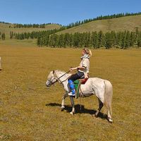 Le foto di Suzi Bett