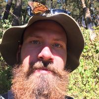 Will  Gairns's Photo