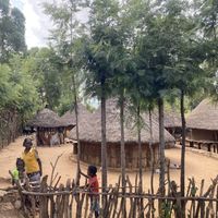 Bereket Tekle's Photo