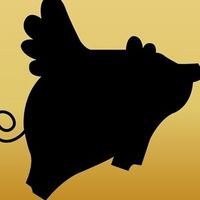 Flyingpig Ibiza's Photo