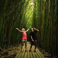 Robert Bardelmeier's Photo