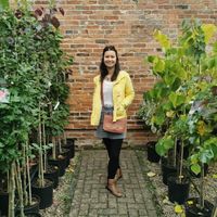 Фотографии пользователя Katie Ng