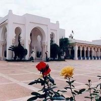 Kourtiche Ali's Photo