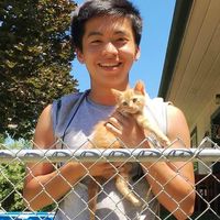 Photos de Anthony Liu