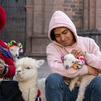 Joa Clemente's Photo