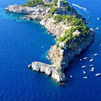 Elena Campione's Photo