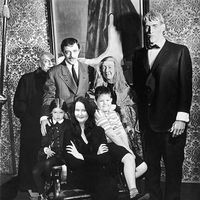 Katja Mercuri's Photo