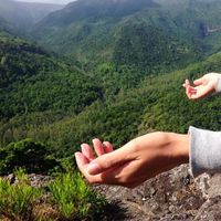 Sophie SewHee的照片