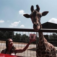 Elisa Rößiger's Photo