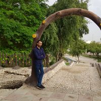 Masoud Ameri的照片