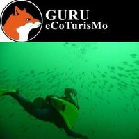 Фотографии пользователя Guru Ecoturismo