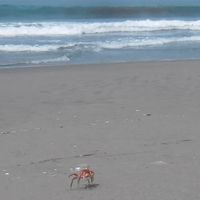 Fotos de victoria  acevedo mena